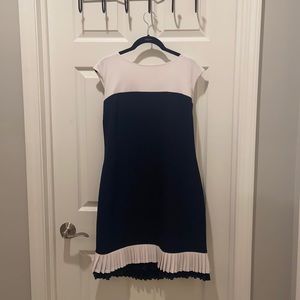 Navy Blue and White Dress